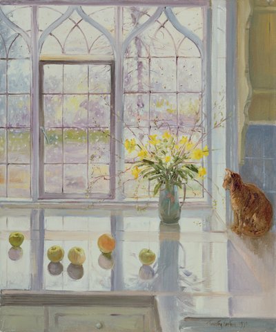 Regenbeobachtung von Timothy Easton